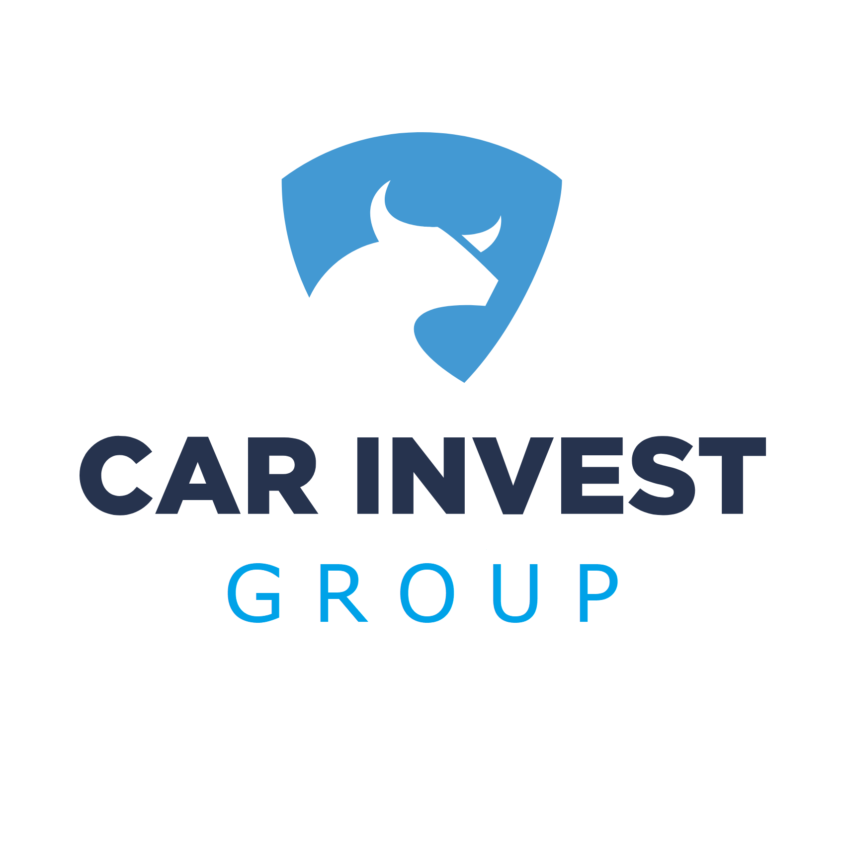 Carinvest group