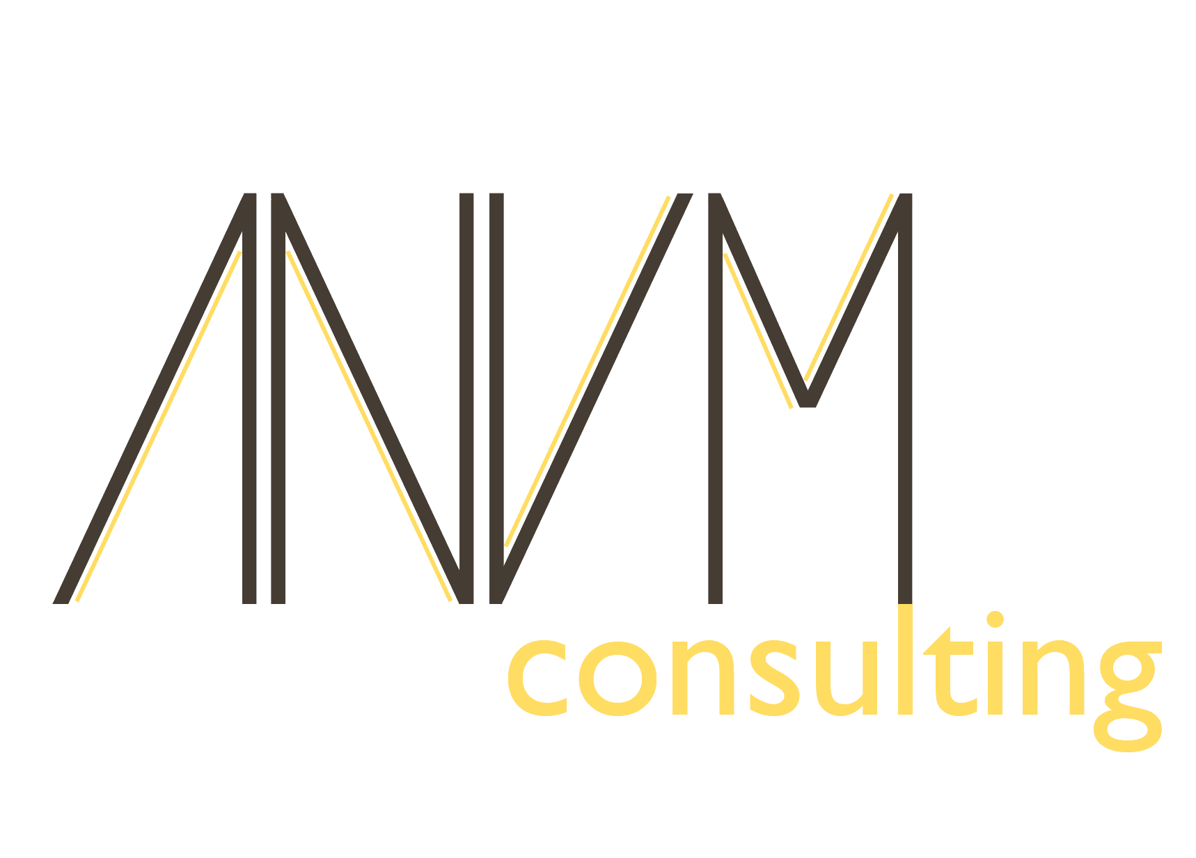 Anvm consulting