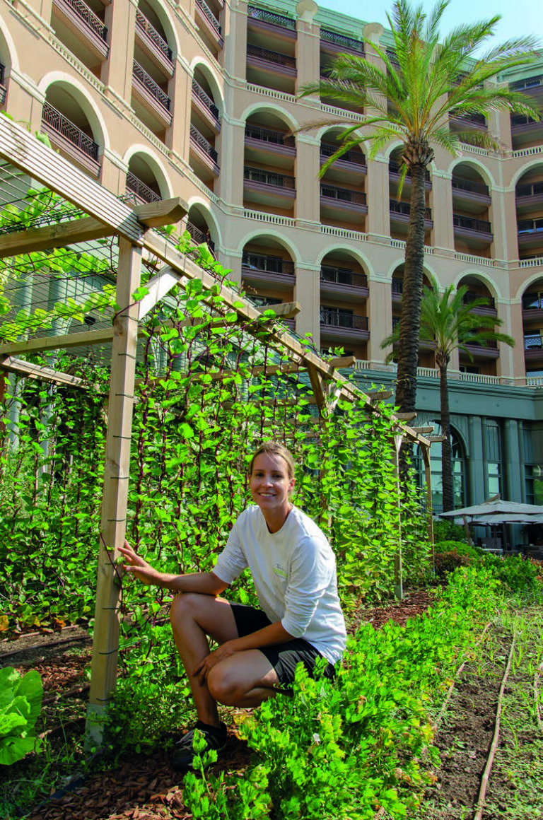 Monaco, le carré potager de la Riviera