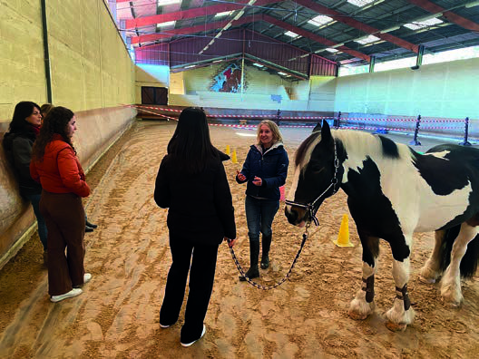 LE CHEVAL, NOUVEL ALLIÉ de la performance des équipes en entreprise !