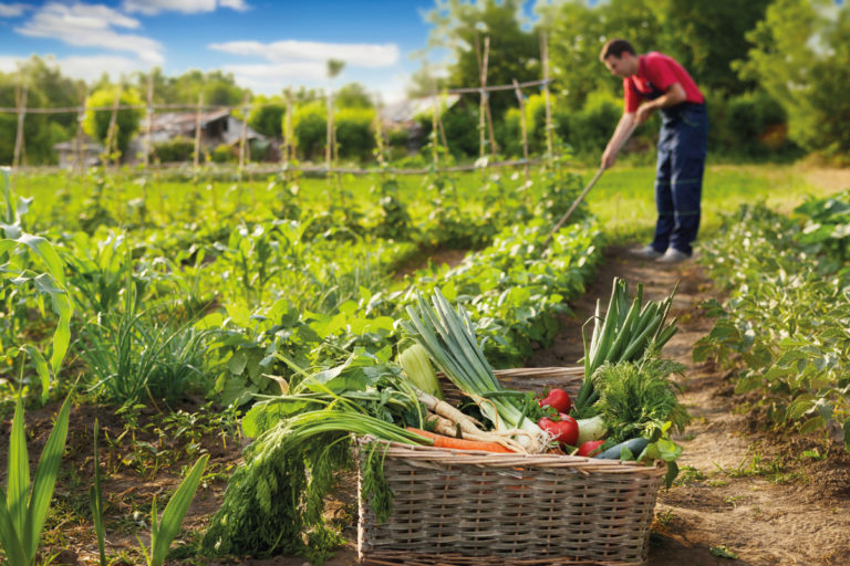 LA CASA, engagée pour l’agriculture