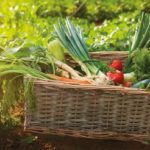 DANS LE VAR, un expert de l’immobilier se met à la culture bio