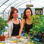 PROJETS A IMPACT EN PACA : A MARSEILLE, AGRIFOODTECH, l’incubateur agricole ingénieux et durable