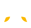 icon InSalon